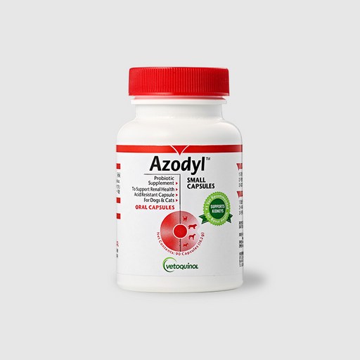 베토퀴놀 아조딜(Azodyl) 90캡슐 동물병원정품 냉장배송