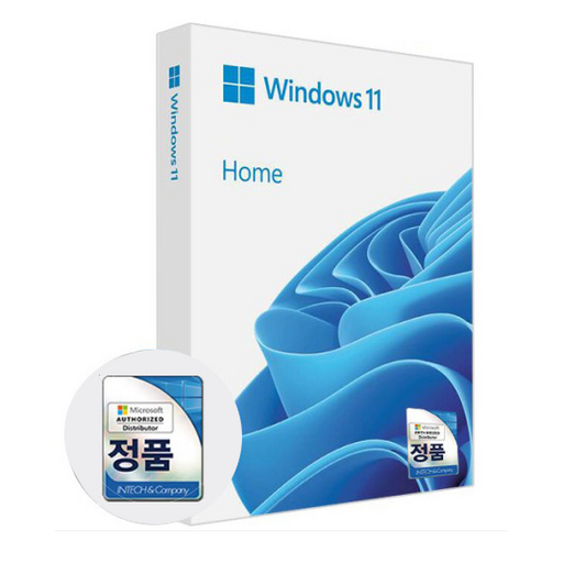마이크로소프트 Windows 11 Home FPP 한글, 단품