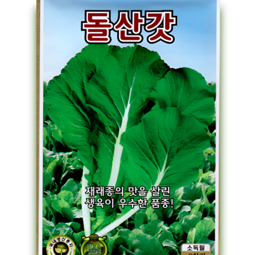 돌산갓 씨앗 6000립 갓 종자 재래종 김장 갓 채소 씨앗 텃밭용 ks