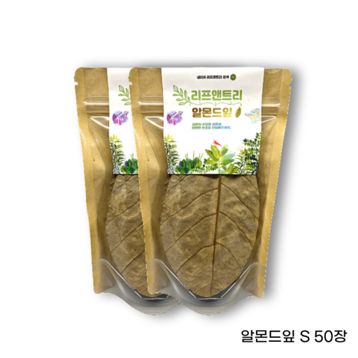 베타 알몬드잎 아몬드잎 대용량 50장