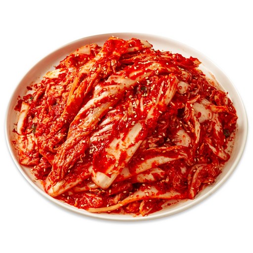 맛장군 오늘담근 배추 겉절이 김치