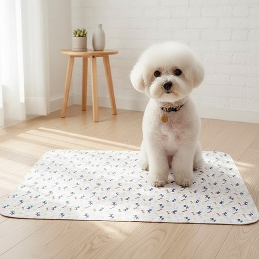 펫코노미 강아지 빨아쓰는 배변매트