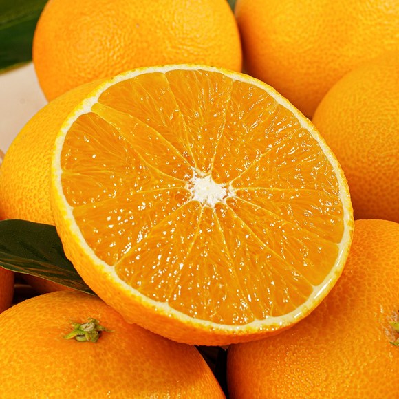 e73c8e80102937e82055e913fb1d7656fb311596ef424fe2b725cbc9f9e3.jpg