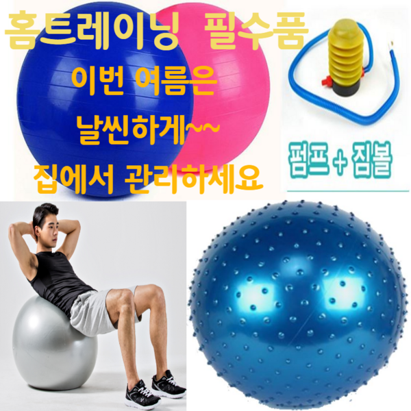 이고진짐볼L: 2023 최신 안티버스트 짐볼 선택 가이드 & 비교분석
