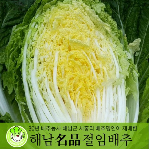 ff90b959b2e39d2552dadb5b7b92a34fffab0a417a08cf056102633f3051.jpg