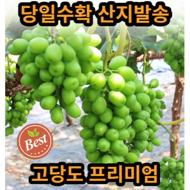 3f1e2371bf12ac65f66f241ac1be422c9d75e244afb349fb34c9e67595fb.png