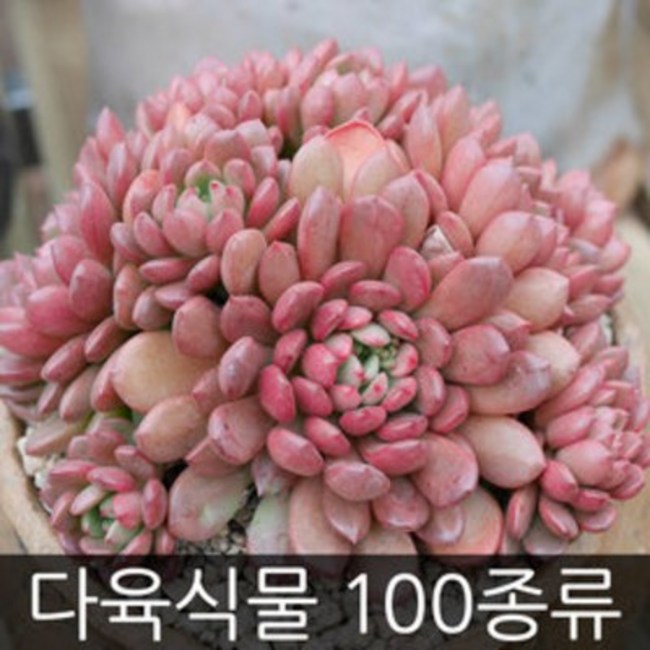 788d990afa7b26de3b2e4f1be3d2a42abca002716c71d8ef9c483fa9e002.jpg
