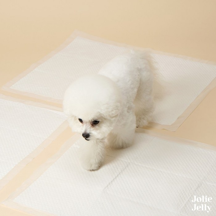 졸리젤리 노 고민 배변패드 최고급펄프 베이직 플러스 중형 강력흡수  강력탈취, 1개, 50개입