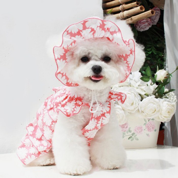 레드퍼피 강아지 레블리 프릴꽃 썬캡