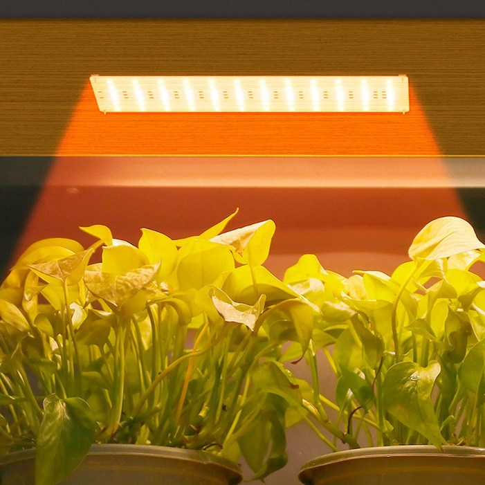 MMC led 조명 스탠드 식물등 성장 온실 자바라 생장 원예 다육용 햇빛 정원 재배기