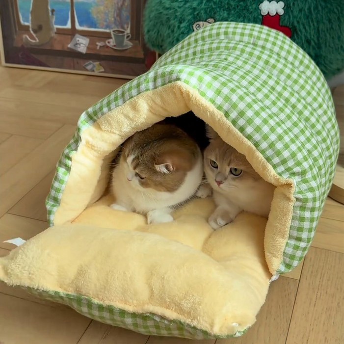 고양이 숨숨집 겨울용 따뜻한 플러스 벨벳 강아지 고양이 침대 분리 세탁 가능 애완동물 침대 실내 반려동물용품 편안한 하우스