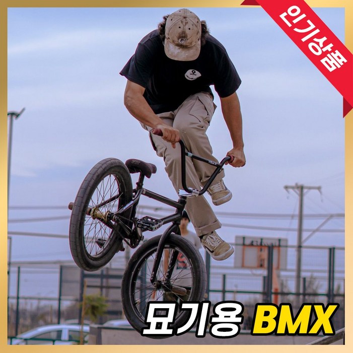 BMX 자전거 묘기 바이크 입문용 스턴트 경량