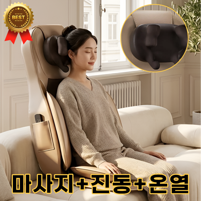 SE 허리 다리 안마기 부모님 선물 안마 소형 안마의자 등마사지기 안마의자