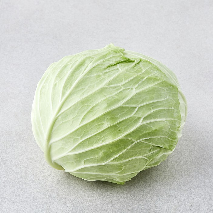 [로켓프레시] 작아도 맛있는 양배추