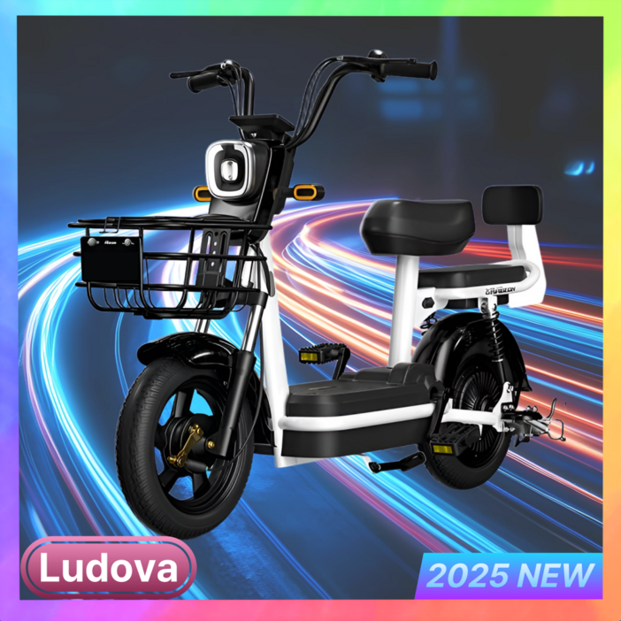 루도바 2025년 신형 3C 리튬배터리 전기 자전거 자토바이 스쿠터 전동 접이식 탈부착, 블랙