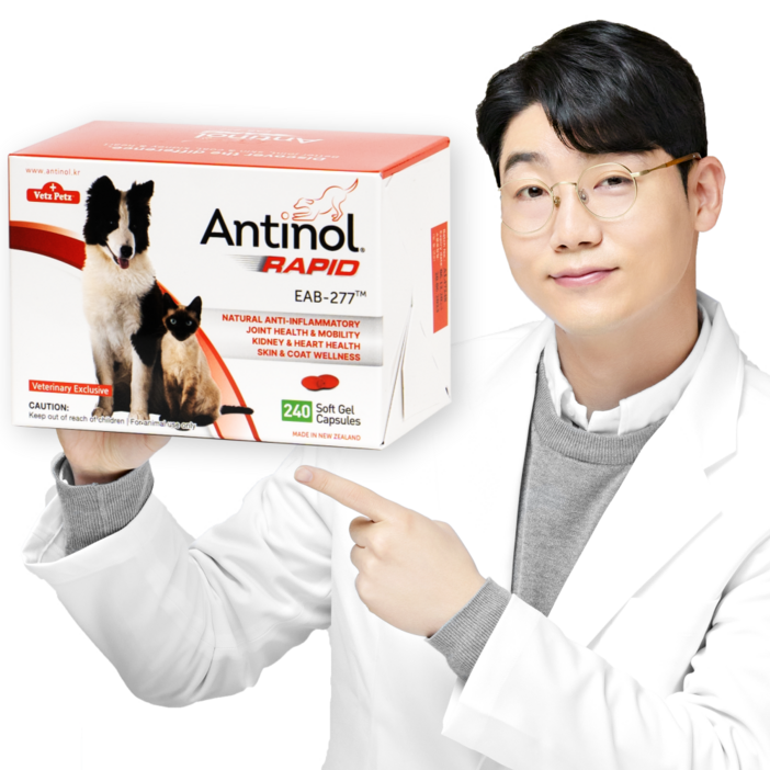 안티놀 래피드 240정, 240정, 뼈/관절강화, 1개