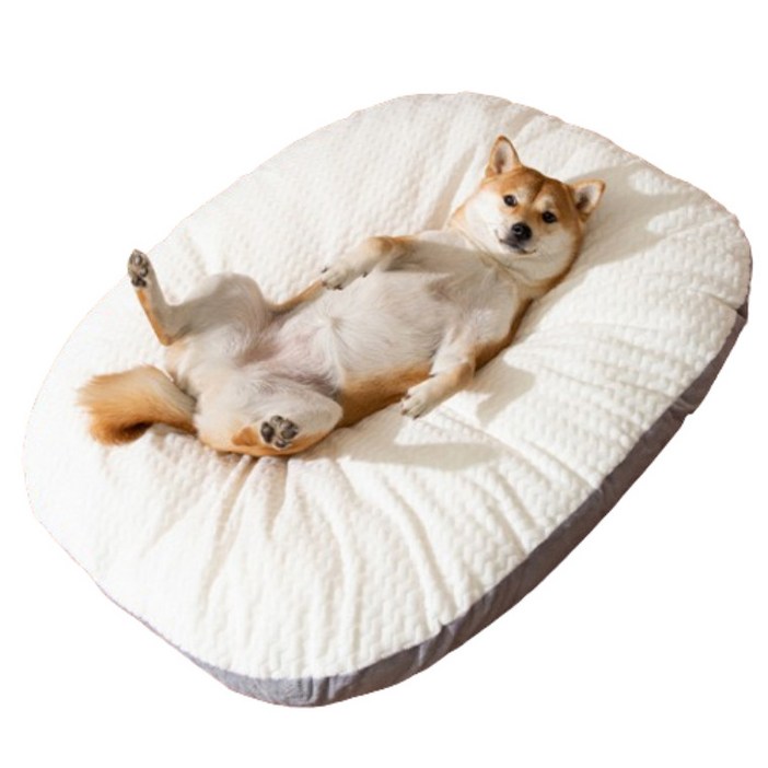 [1+1]레이지데이즈 푹신한 강아지 고양이 꿀잠 쿠션 애완동물 무중력 방석