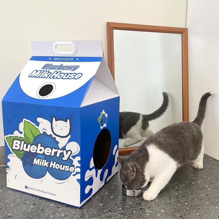 대형 블루베리 우유곽 고양이 숨숨집 스크래쳐 하우스 7.5kg 권장  튼튼한 골판지 캣하우스