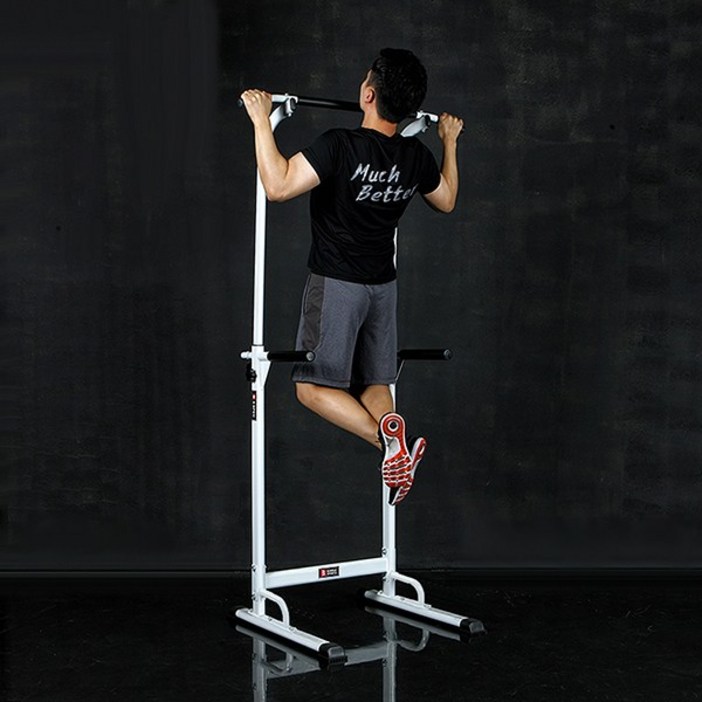 반석스포츠 비스펙 치닝디핑 기본형 철봉 턱걸이 풀업 친업 상체 운동 기구