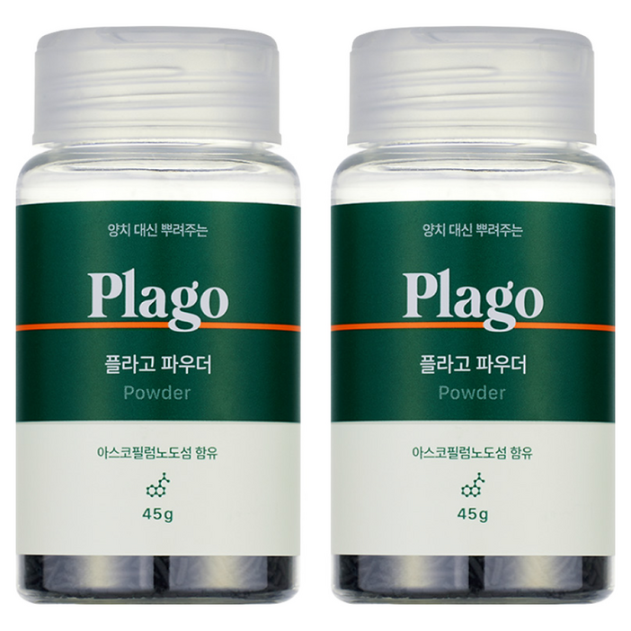 플라고 덴탈 파우더 45g, 45g, 2개