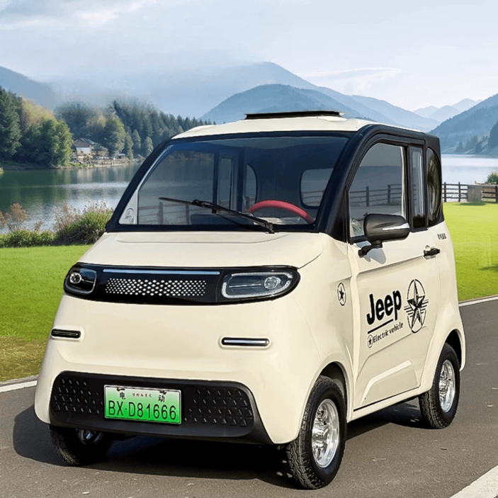 초소형 전기차 2인승 전동차 미니 실용 성인용 전동 미니카