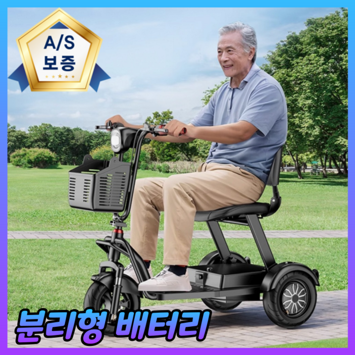 골든모션 노인 전동차 오토바이 전기 스쿠터 전동 산책 삼발이 3륜 삼륜 전동카 어르신 배터리, 48V/15A(주행가능거리60km)