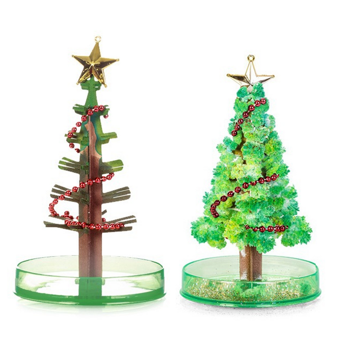 매직트리, 매직트리, 1개