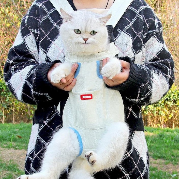 Jeernare 강아지 포대기 이동가방 고양이 이동장 여름 애견 산책가방 중형견 소형견 통용, 1개, 화이트