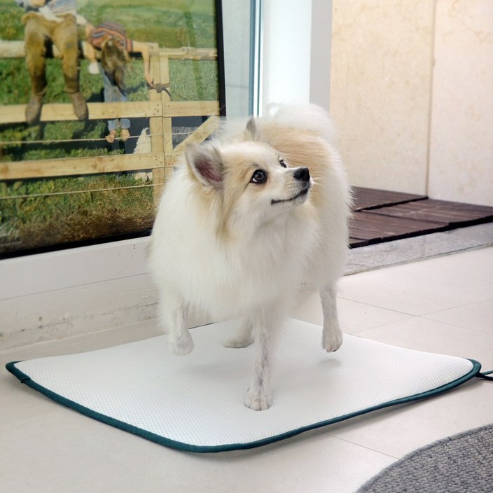 오놀라 씻어쓰는 빨아쓰는 3D매쉬 친환경 강아지 배변패드 S M L