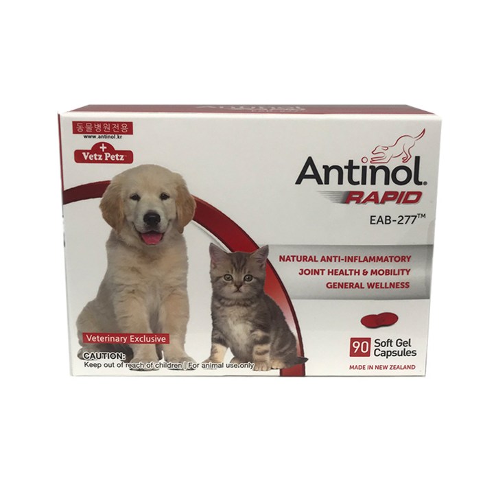 안티놀 래피드 90캡슐 강아지 고양이 관절영양제