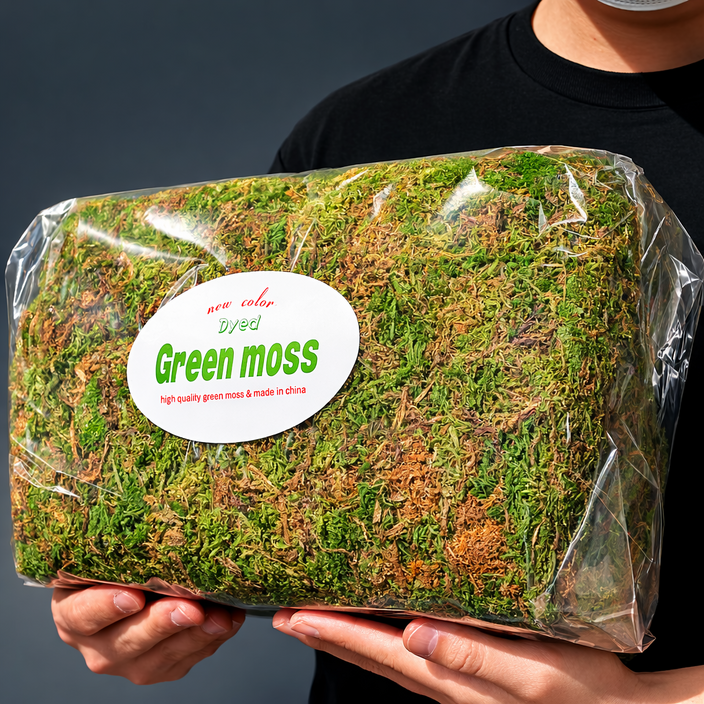 천연이끼 건조 이끼 인삼 테라리움 비바리움 장식 토피어리 조경용 인조잔디 700g