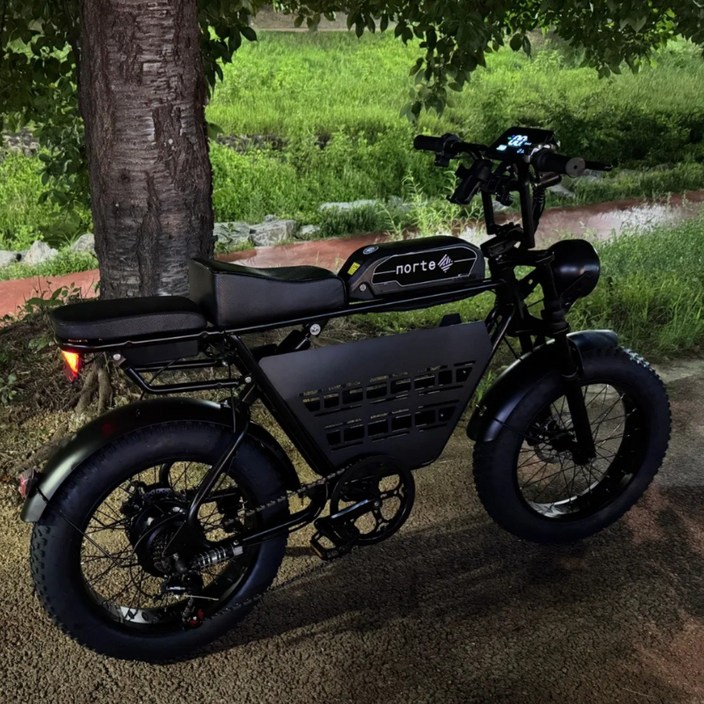 노르테 전기 자전거 자토바이 전동 스쿠터 팻바이크 MTB 배달용 출퇴근용, S1 럭셔리, 스틸