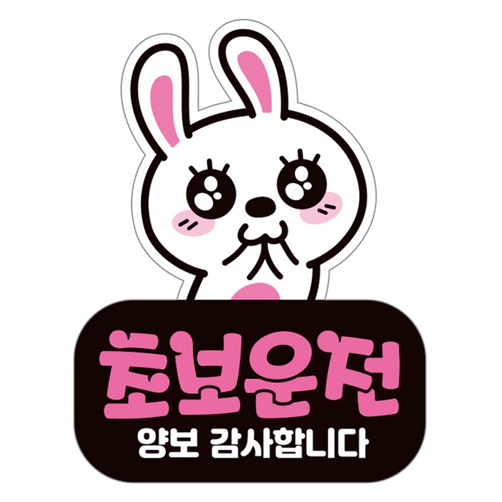 제제데코 자동차 탈부착 자석 고휘도 반사 초보운전 스티커 시트지 LC006