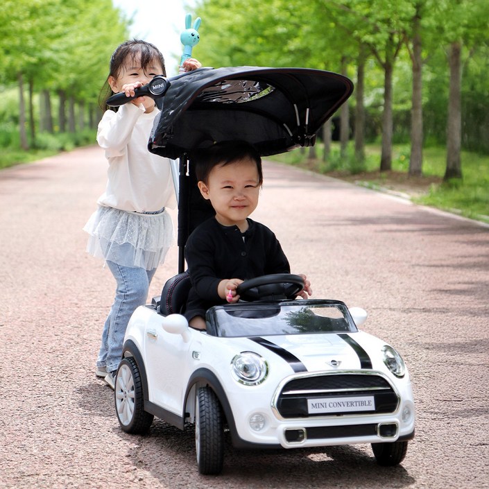 대호토이즈 미니쿠퍼 푸쉬카