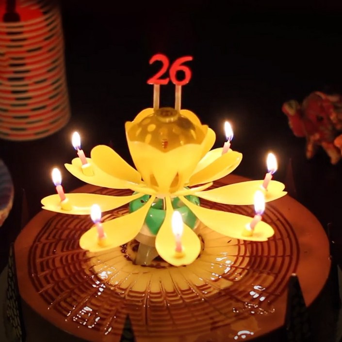 스토리빙 생일 축하 초 연꽃 멜로디 선물 파티 용품  숫자 토퍼 19p 세트, 옐로우