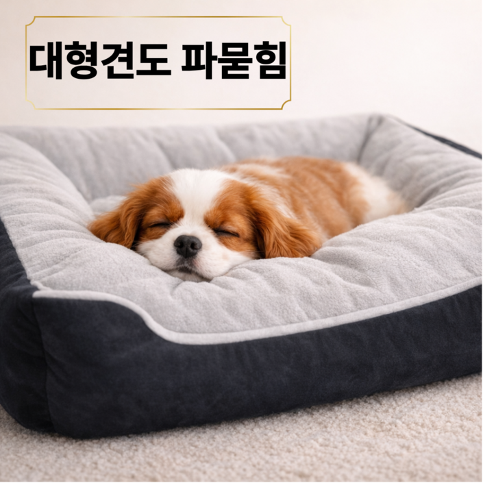 리엔토 사계절 반려동물 세탁가능 강아지 방석