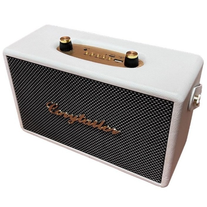 코지테일러 CT20W TWS EQ모드 블루투스 무선 스피커 B140