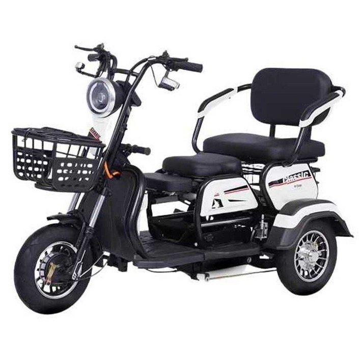 삼토바이 3륜 바이크 다인승 48V 3발 삼륜 오토바이