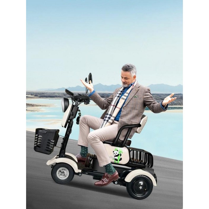 노인 전동 스쿠터 4륜 전기 장애인 어르신 이동수단 배터리 경량 방수 외출용, 7650w48v20AH 그래핀 배터리, 48V