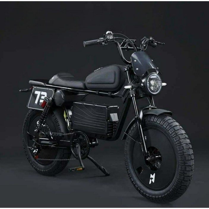 고출력 전기자전거 60V 신형 자토바이 페이스오프 N1 3000W 배달용