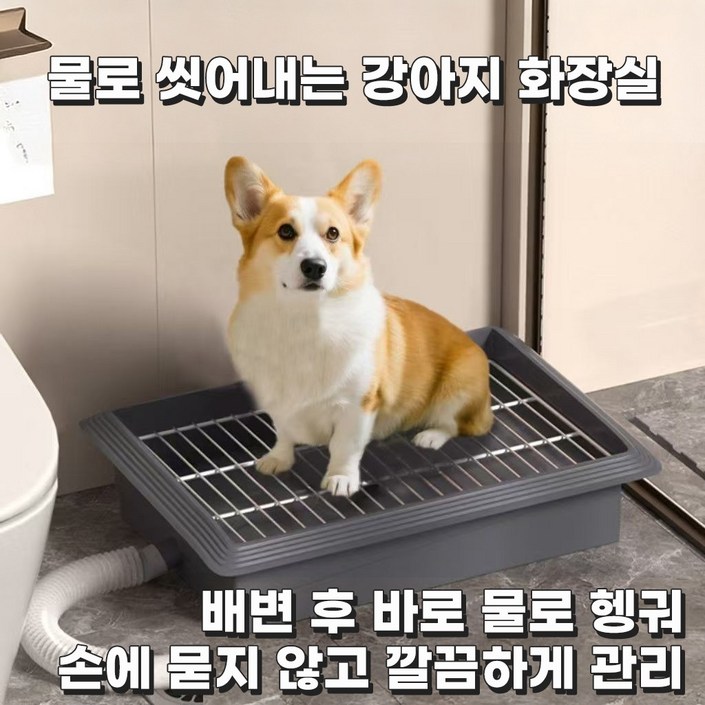 코코 강아지 배변판 반려견 화장실 배수형 물세척 가능 실내 배변훈련 소형견 중형견 배변판