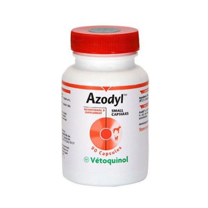 [기타][완벽냉장+]아조딜 영양제 90캡슐