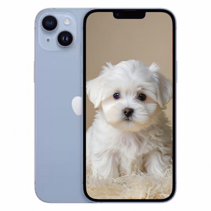 아이폰 14 새제품 정품 256GB