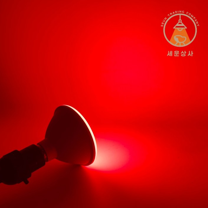 세운상사 컬러전구 확산형 PAR30 led15W  e26led 15W