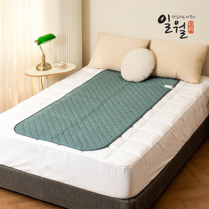 [25년형 신제품] 일월 필그린 워셔블 카본매트 싱글 탄소매트 90X180, 단품, 단일색상