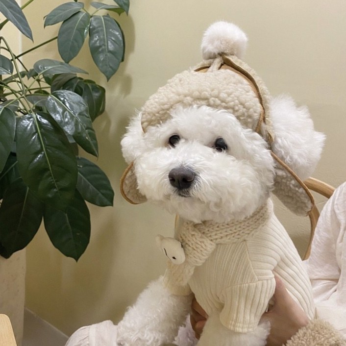 댕냥이 군밤 모자