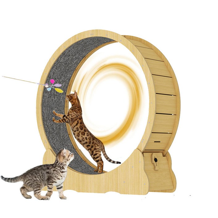 PawJoy 캣휠 다기능 고양이캣휠 무소음 고캣휠 DIY 캣휠 추천 안전하고 재미 있는고양이, 원목 캣휠, 가정용/실내용 고양이 운동기구