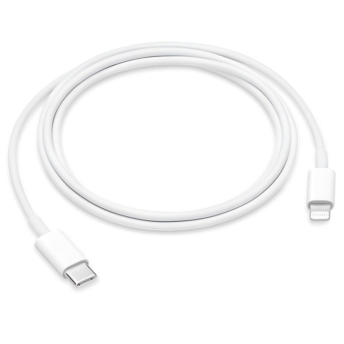 Apple 정품 Lightning-C타입 충전 케이블