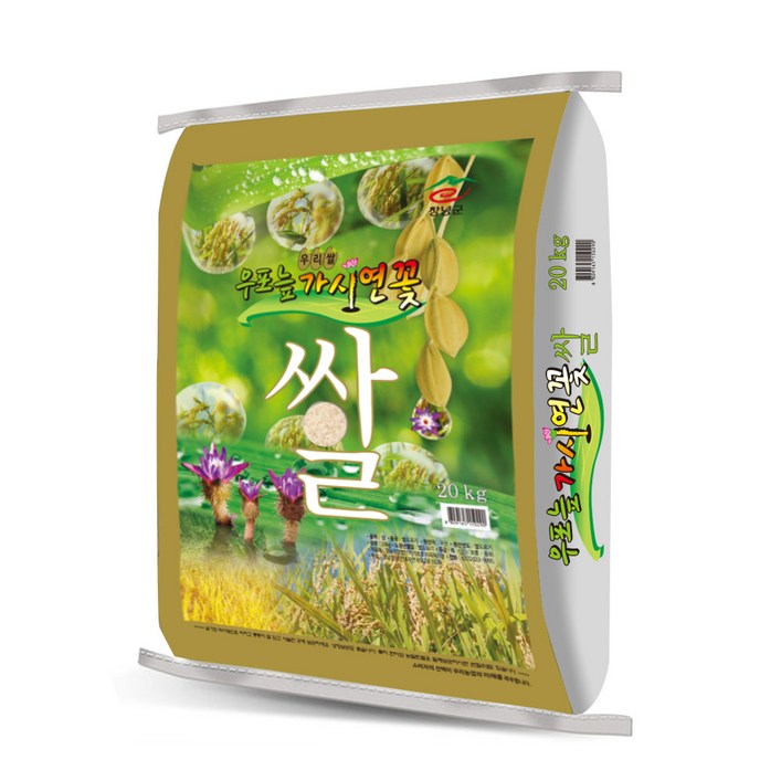 가가호호 가시연꽃 삼광