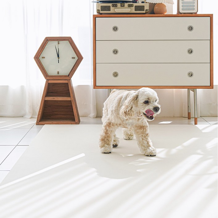 이리로 반려동물 실리폼매트 강아지매트 논슬립 방수 방오